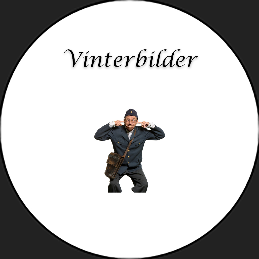 Vinterbilder