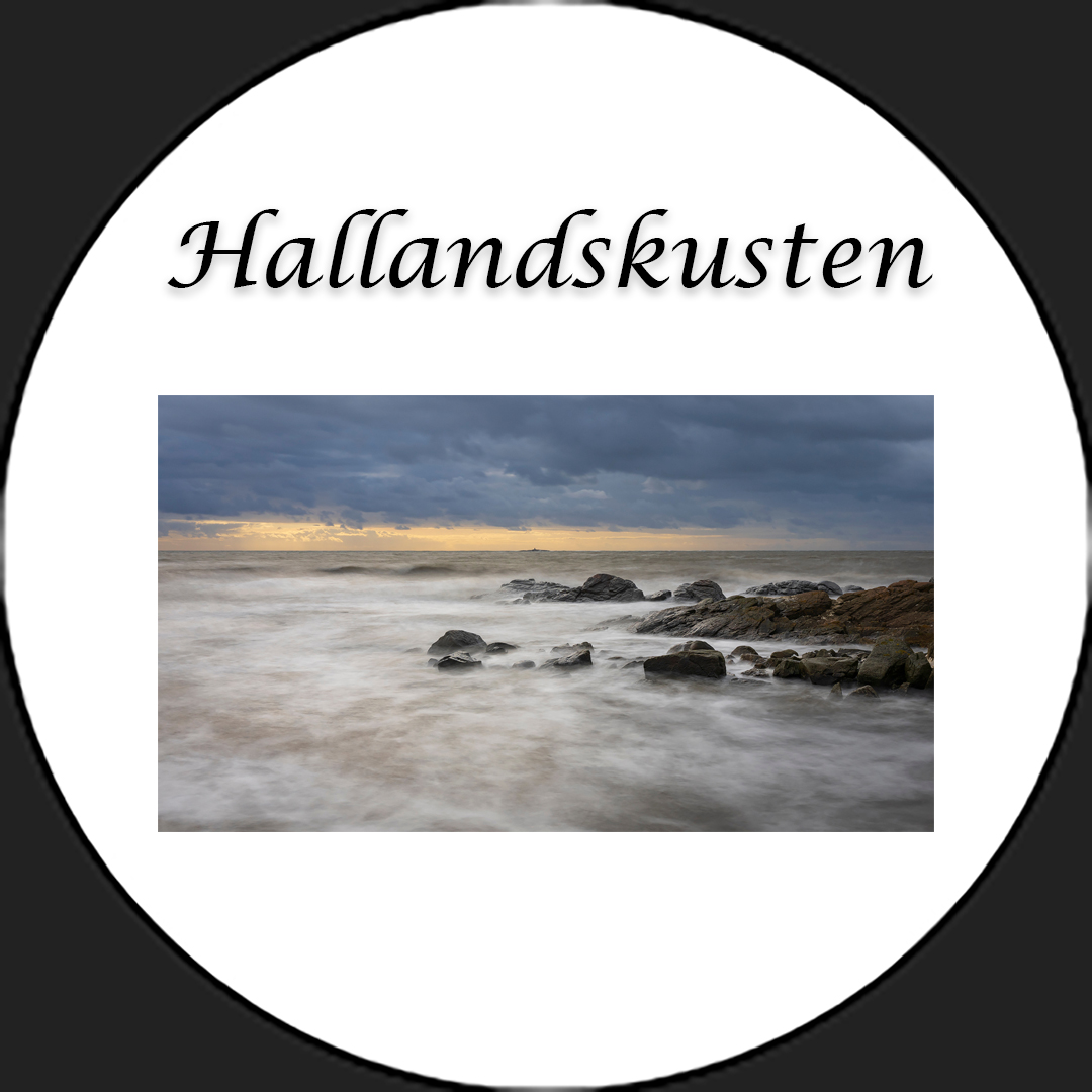 Halländska kusten